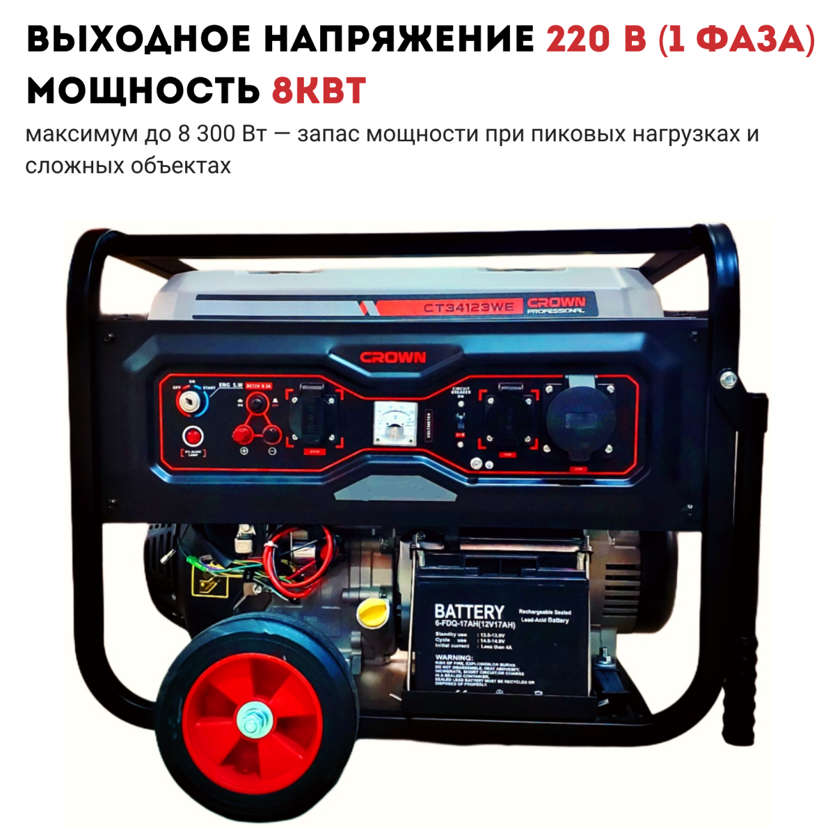 Электроточило (заточный станок) CROWN CT13333