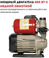 Насос автоматический самовсасывающий CROWN CT35244 (PW750)