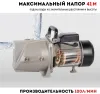 Насос центробежный CROWN CT35253 (JET750L1)